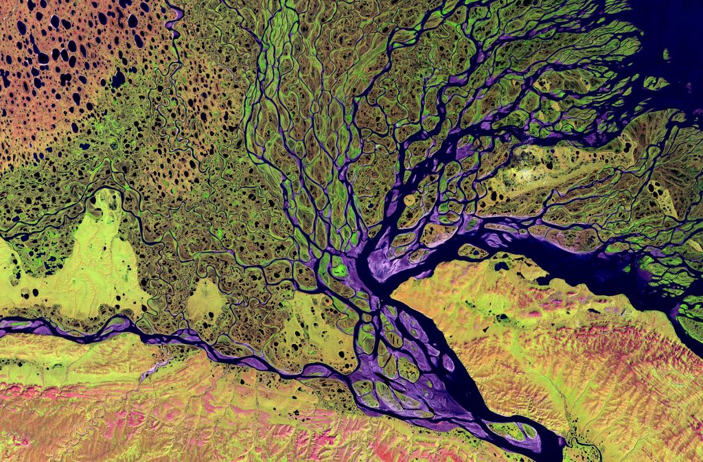 River delta